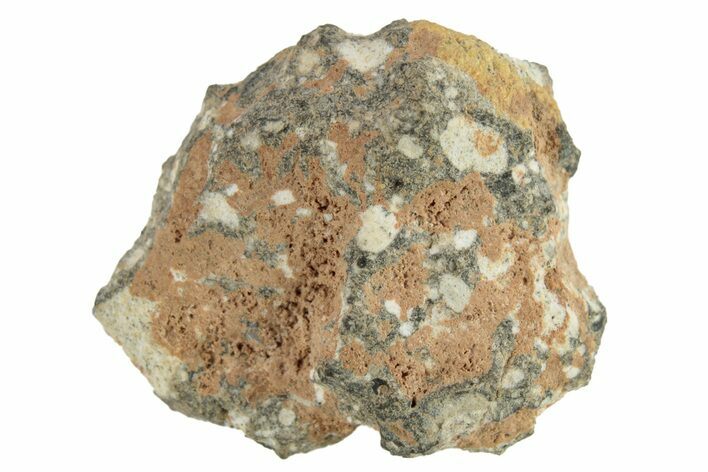 Lunar Meteorite ( g) - NWA #265664